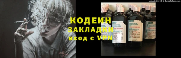 индика Баксан