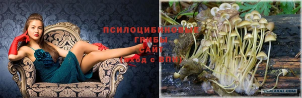 индика Баксан