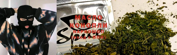 индика Баксан