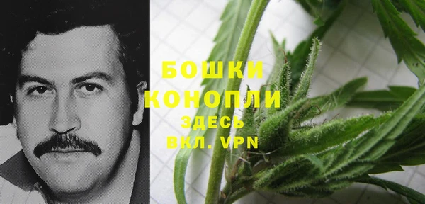spice Балабаново