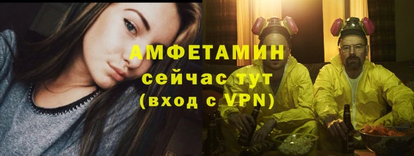 индика Баксан