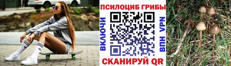 Псилоцибиновые грибы мухоморы  Купить где  Нея 